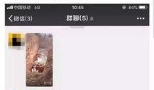 猪瘟最新爆料视频大全集,视频大全集深度解析