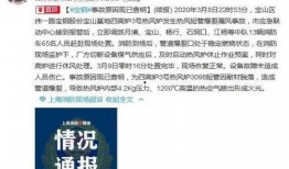 宝山新闻爆料事件最新,最新事件引发社会关注，真相即将揭晓