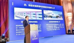 深圳合作区爆料事件最新,揭秘背后真相与影响