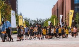 郑州凯文学校最新爆料,揭秘校园内幕与真实情况