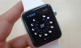 苹果最新手表爆料是真的吗,真假难辨，揭秘真相！