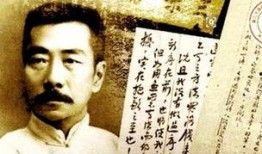 鲁迅最新爆料事件,揭秘最新爆料事件背后的真相