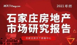 石家庄48中最新爆料,揭秘校园变革与未来展望