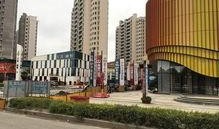 贾飞最新动态爆料,揭秘娱乐圈幕后真相