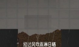 甜瓜娱乐场最新爆料,明星幕后故事大曝光！