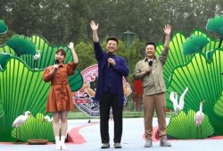 十洲公园爆料视频最新,揭秘公园神秘角落与不为人知的秘密