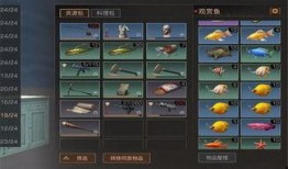 网络最新玩法爆料视频,视频爆料带你领略游戏新境界