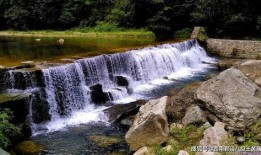 重庆新冠源头爆料最新,揭秘病毒起源之谜