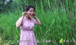 最新爆料乡村小乔,揭秘田园生活的魅力与变迁