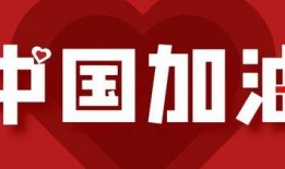 武汉加油最新爆料,抗疫英雄再创辉煌——最新爆料揭秘！