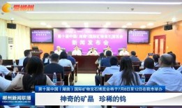 郴州爆料新闻最新,揭秘某神秘事件背后真相