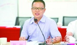 赵先生最新深圳爆料,揭秘城市热点事件背后的真相