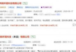 二八最新爆料,揭秘行业巨头背后的惊人内幕