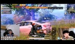 鲨鱼最新直播爆料,最新爆料内容大起底