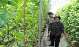 吴忠吃瓜最新事件爆料是真的吗,真相揭秘还是网络谣言？