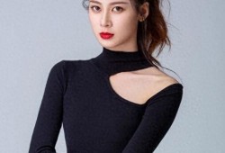 赵昭仪最新爆料视频,最新爆料视频深度解析