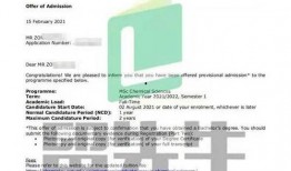 新加坡留学爆料案例最新,真实案例揭示留学背后的故事