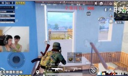 鲨鱼最新直播爆料,最新爆料内容大起底