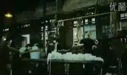 叶问爆料视频大全最新一集,揭秘功夫宗师的真实传奇与幕后故事